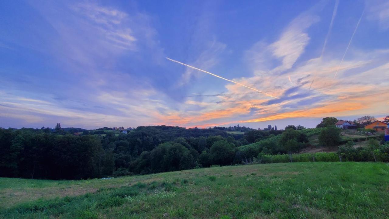 Apartmán Apartma Ksela Mala Nedelja Exteriér fotografie