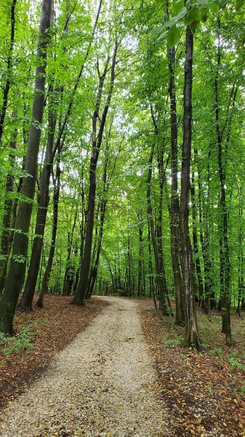 Apartma Ksela Mala Nedelja Exteriér fotografie