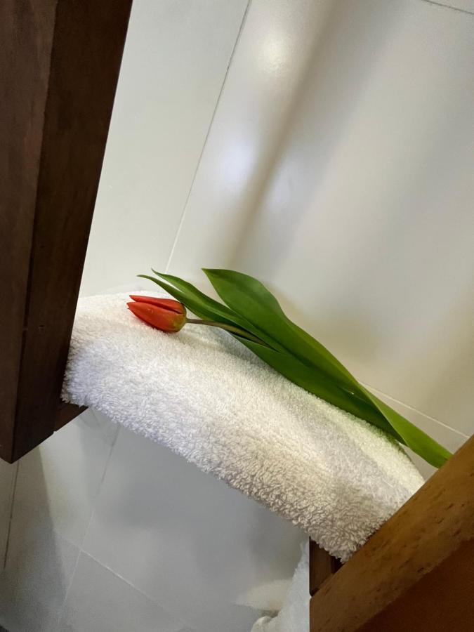 Apartma Ksela Mala Nedelja Exteriér fotografie